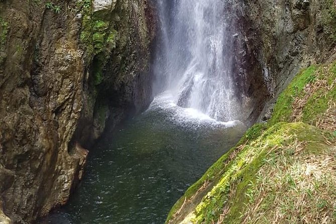 2 Hours Trekking Waterfall Tour in Tobago - Key points to know before you book
