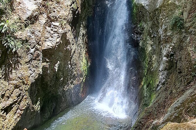 2 Hours Trekking Waterfall Tour in Tobago - Reaching the waterfall and its cool cascades
