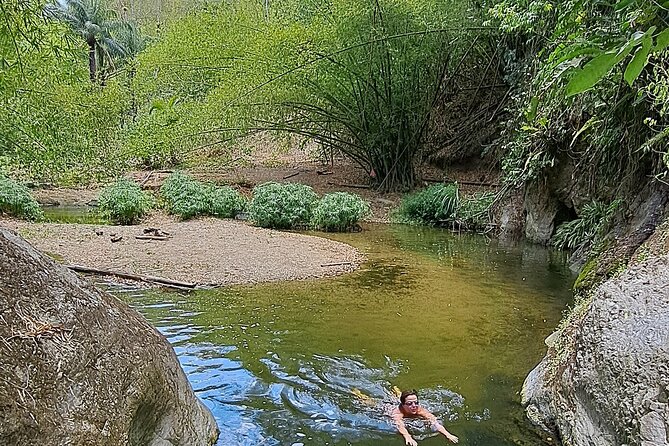2 Hours Trekking Waterfall Tour in Tobago - Returning on the same trail