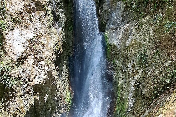 2 Hours Trekking Waterfall Tour in Tobago - What the $156.93 price includes