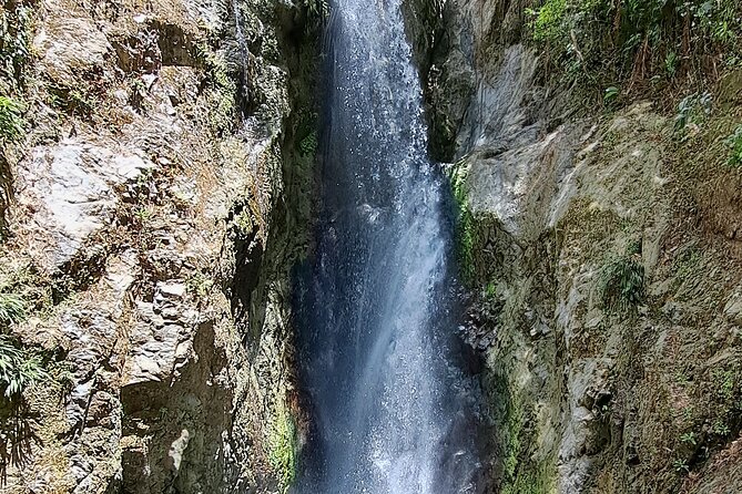 2 Hours Trekking Waterfall Tour in Tobago - Who will enjoy this Tobago waterfall tour?