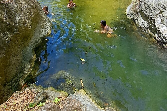 2 Hours Trekking Waterfall Tour in Tobago - From Buccoo Beach toward the Atlantic coast