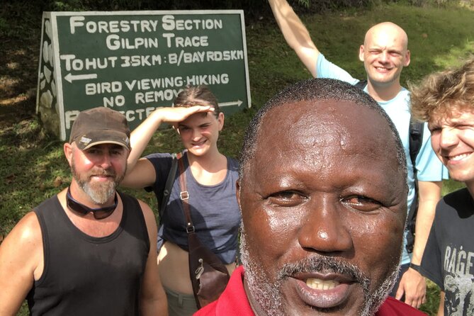 3 Hours Rainforest Walk in Tobago (Private) Lunch + Hummingbirds - Entering Tobago’s Main Ridge at 9 a.m.