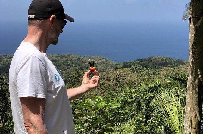 3 Hours Rainforest Walk in Tobago (Private) Lunch + Hummingbirds - Ellis Clarke’s flexible guiding style