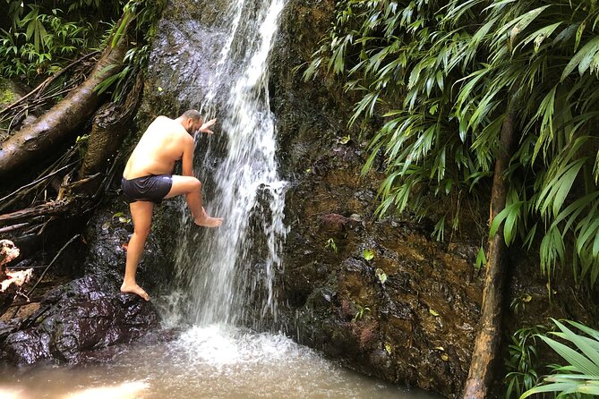 3 Hours Rainforest Walk in Tobago (Private) Lunch + Hummingbirds - Why the Main Ridge Reserve matters