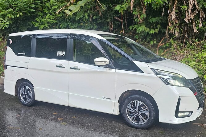 Airport Transfer to OR from Accommodation in Trinidad - Meeting Your Driver in Port of Spain