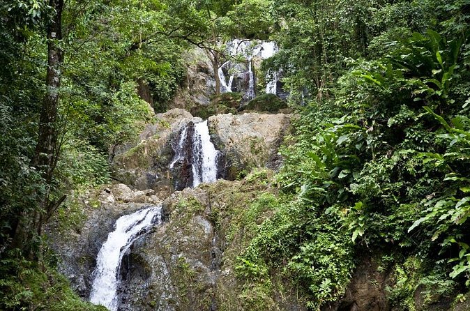 Argyle Waterfall with Adventure Farm - Practical advice for a smoother afternoon