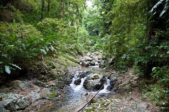 Argyle Waterfall with Adventure Farm - Swimming beneath Tobago’s highest waterfall