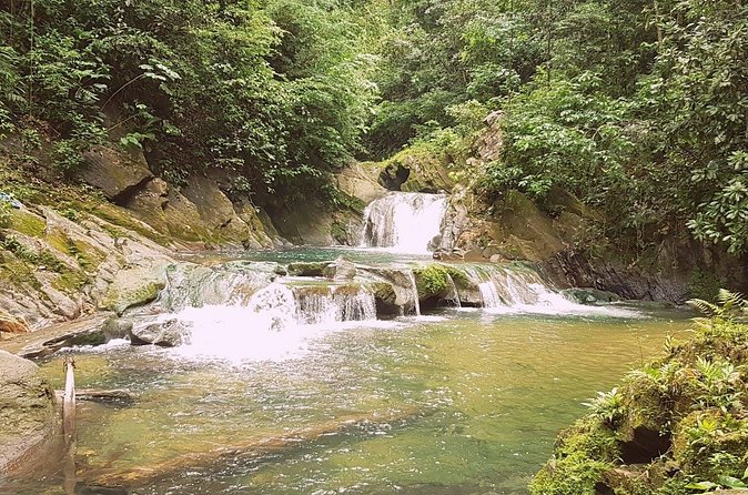 Aripo Waterfall Adventure - Weather, timing, and what to pack