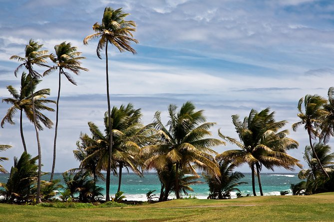 Around the Island - An eight-hour way to get your bearings