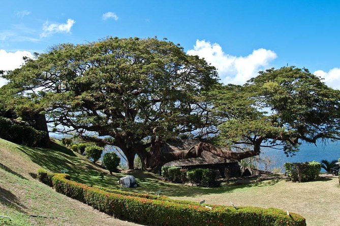 Around the Island - Fort King George: history above the Atlantic