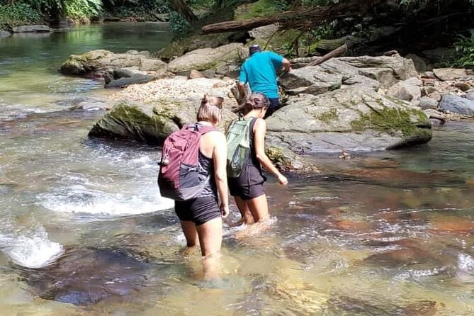 Avocat Waterfall and Beach Tour - Key points to know before you book