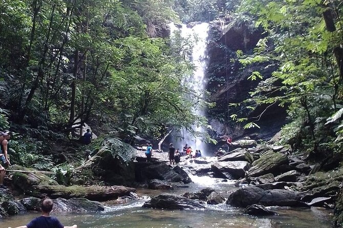 Avocat Waterfall and Beach Tour - What the $105.39 price means