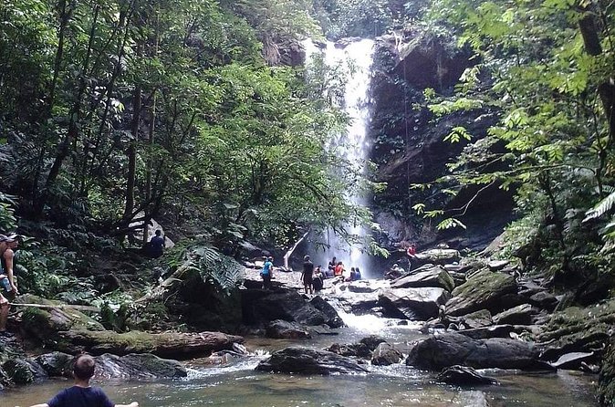 Avocat Waterfall and Beach Tour - Guides who shape the day
