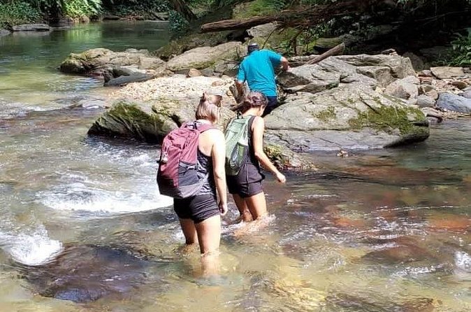 Avocat Waterfall and Beach Tour - Who should book this day out