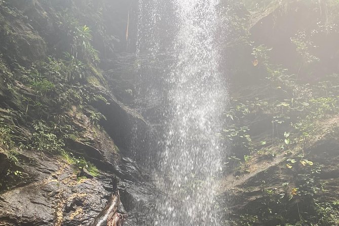 Avocat Waterfall Tour & Beach Stop Package - Guides, group size, and the human side