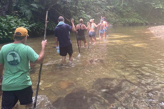 Avocat Waterfall Tour & Beach Stop Package - The winding road to the north coast