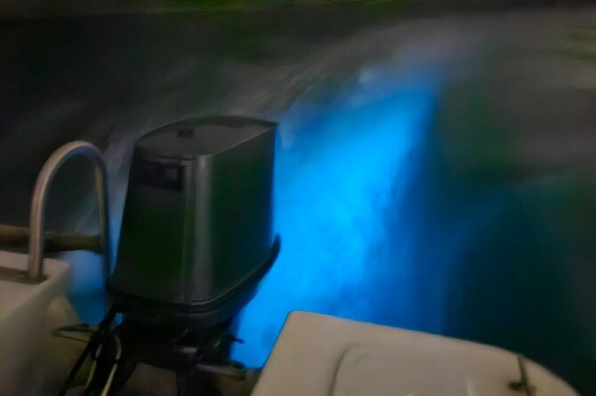 Bioluminescence Tour - Is $170 a fair price?