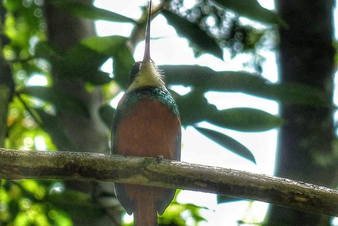 Bird Watching Tours - Is $90 a fair price?