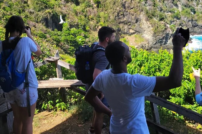 Birdwatching, Waterfall, Rainforest and Island Nature Tours - Pickup from your hotel or cruise ship