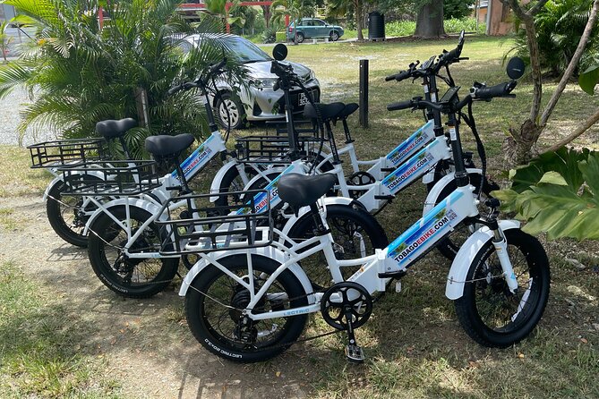 Breeze Through Tobago on an E-bike - Practical timing and booking advice