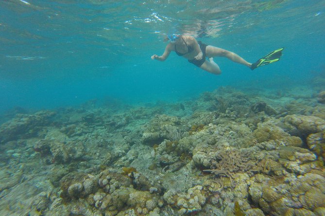 Buccoo Reef and Nylon Pool Adventure - Choosing the best departure time