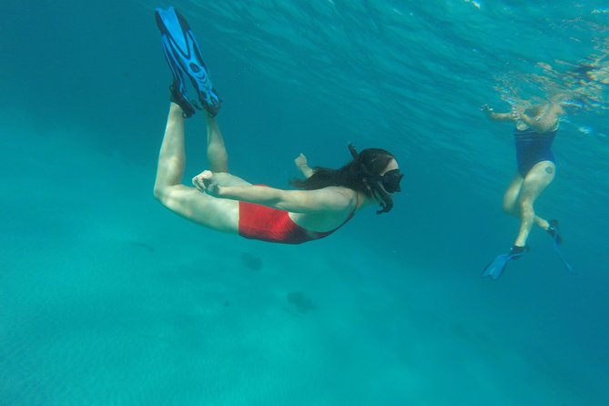 Buccoo Reef and Nylon Pool Adventure - Guides who shape the experience
