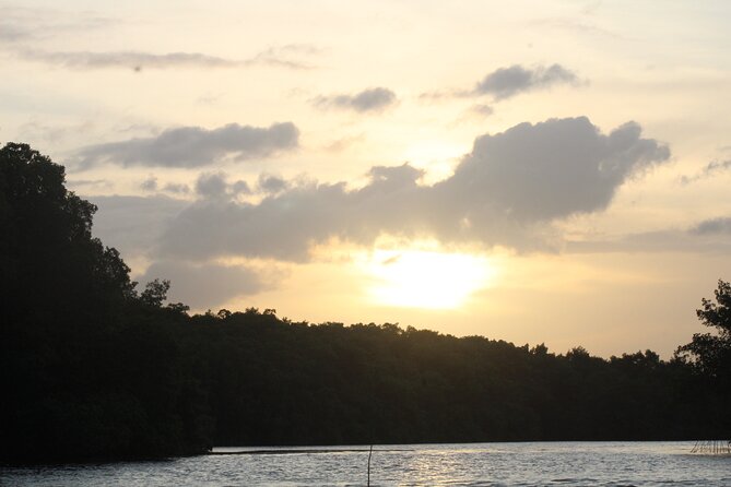 Caroni Bird Sanctuary Tour - A Flat-Bottomed Boat Through Mangrove Water