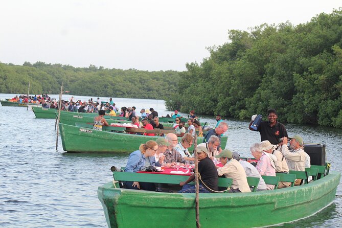 Caroni Bird Sanctuary Tour - Caimans, Snakes, Crabs, and Other Wildlife