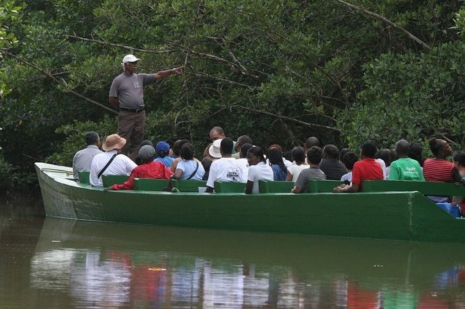 Caroni Bird Sanctuary Tour - The 3:00 pm Start and Hotel Pickup