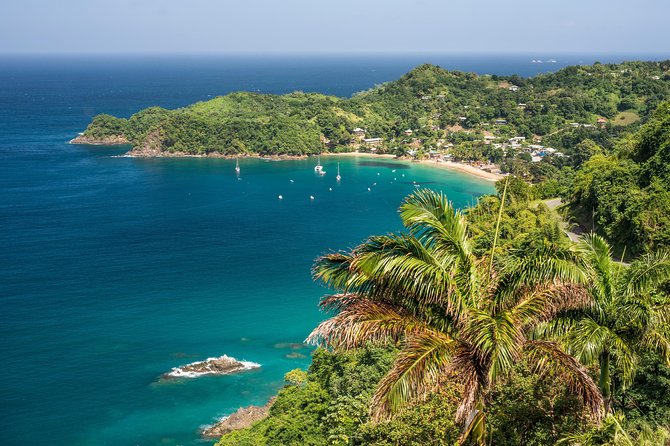 Castara Bay Day Trip with Lunch - Key things to know before booking