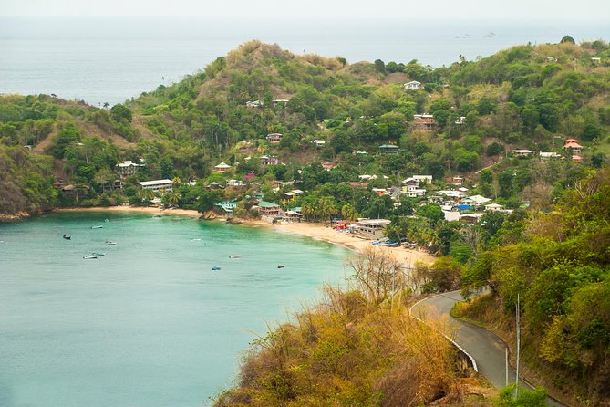 Castara Bay Day Trip with Lunch - Castara Bay: swimming, snorkeling, or doing very little