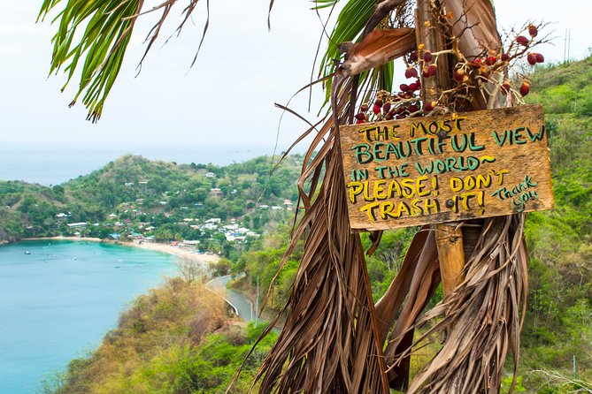 Castara Bay Day Trip with Lunch - Caribbean lunch and the tour’s personal touch