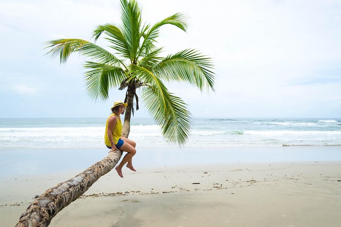 Coastal Tour of Trinidad - Key things to know before you book