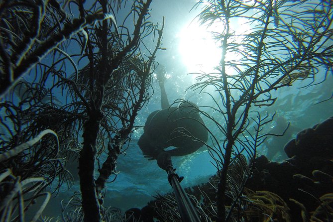 Coastline Snorkel and BBQ - Leaving Buccoo for the Tobago Coast