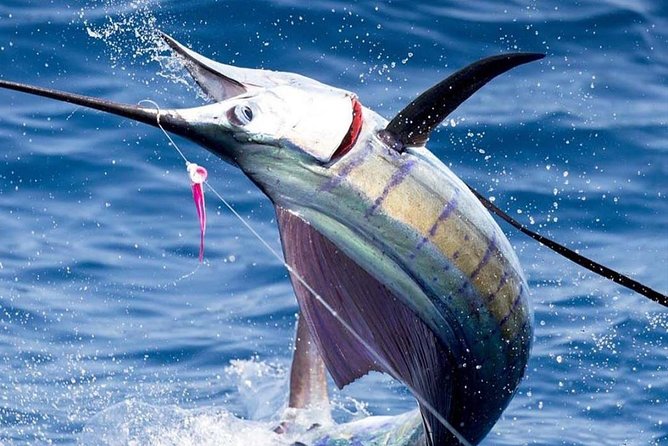 Deep Sea Fishing (Street Food and Beer Included) - Key things to know before you book