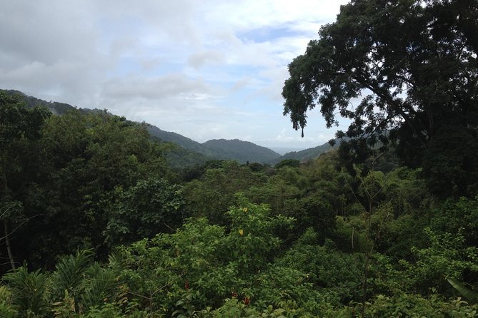 Discover the Rainforest - Key points to know before booking