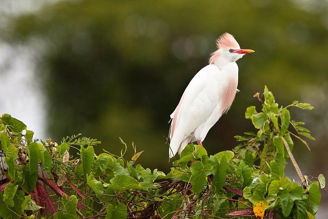Discover the Rainforest - Is $85 a fair price for six hours?