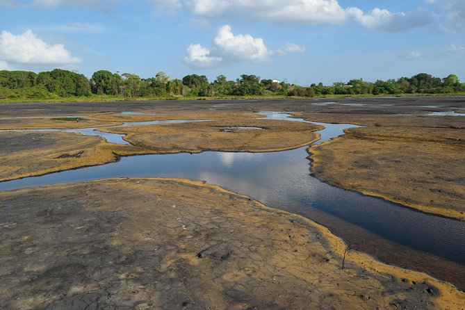 Down South Tour of Trinidad - The guide can shape the whole experience