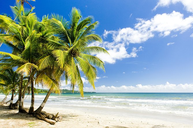 Englishman's Bay Day Trip with Lunch - Key points at a glance