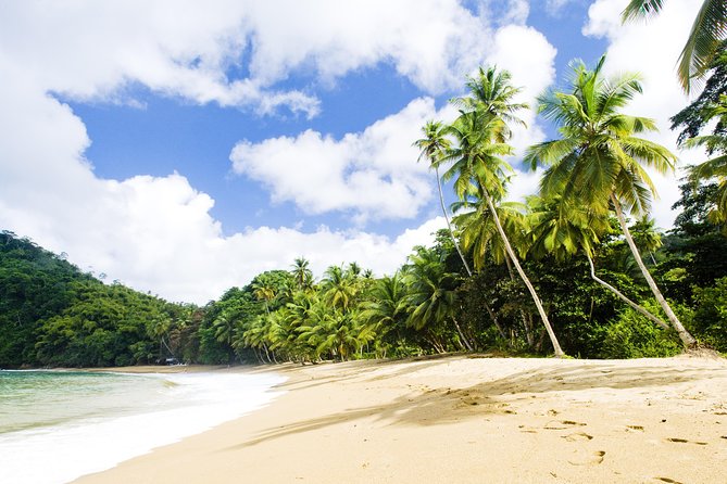 Englishman's Bay Day Trip with Lunch - Swimming and snorkeling without pressure