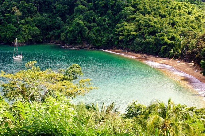 Englishman's Bay Day Trip with Lunch - Caribbean lunch included in the $185 price