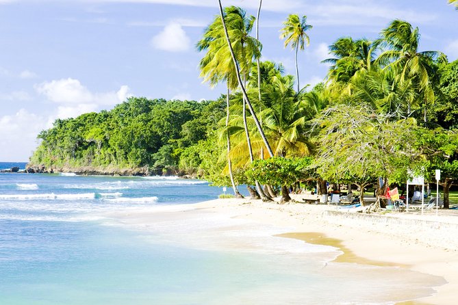 Englishman's Bay Day Trip with Lunch - The guide can shape the entire day