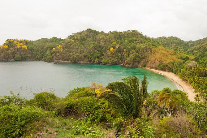 Englishman's Bay Day Trip with Lunch - What the three published opinions tell you