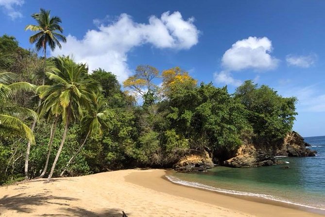 Englishman's Bay Day Trip with Lunch - A flexible five-to-six-hour route