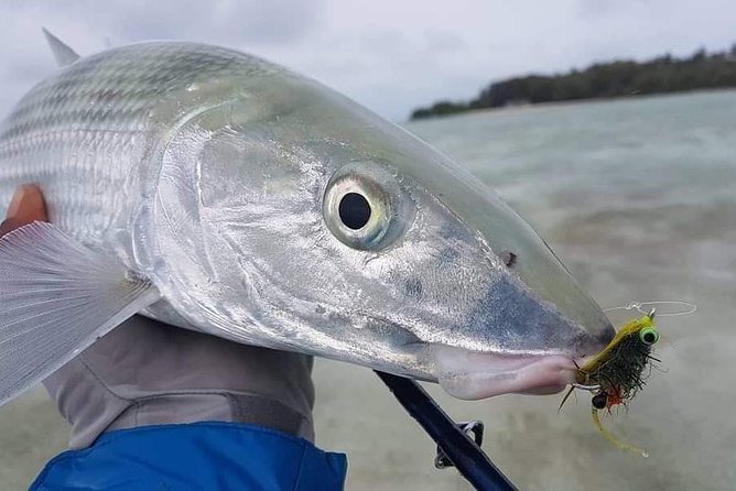 Fly Fishing Tour - Fishing from Buccoo Point