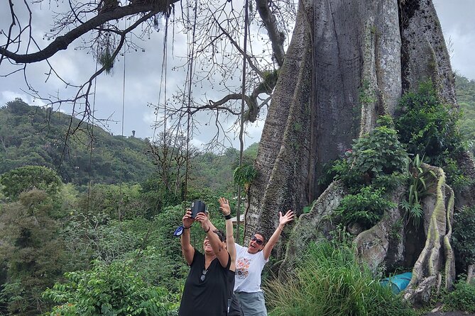 Full Day Tour in Tobago Island with Lunch - Seeing Tobago in One Long, Useful Day