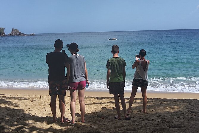Full Day Tour in Tobago Island with Lunch - Who Will Enjoy This Tobago Tour Most?