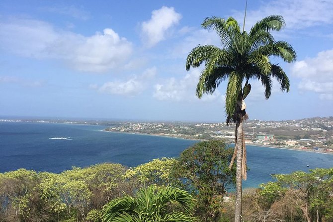 Full Island Tour (Including Lunch & Snorkeling) - Five things to know before booking