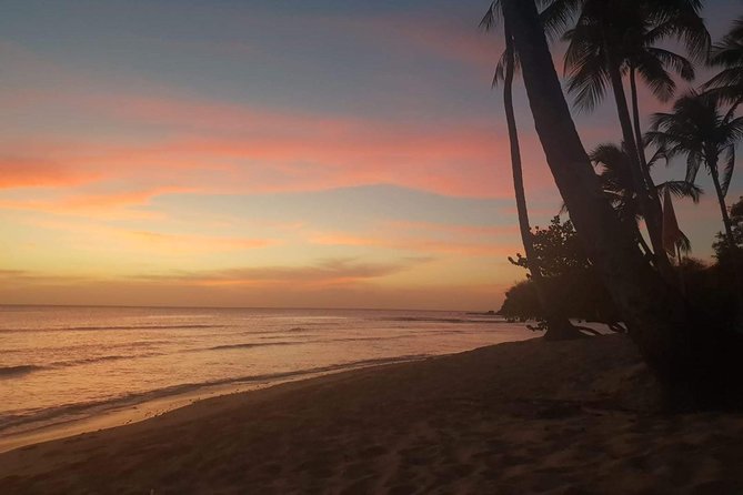 Full Island Tour (Including Lunch & Snorkeling) - The Caribbean side, waterfalls, and extra local stops